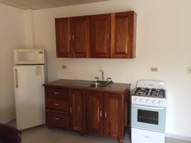 Una cocina compacta con armarios de madera, un lavamanos empotrado, un microondas y una estufa.