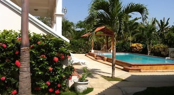 Un área de piscina con una pérgola, palmeras y un edificio blanco.