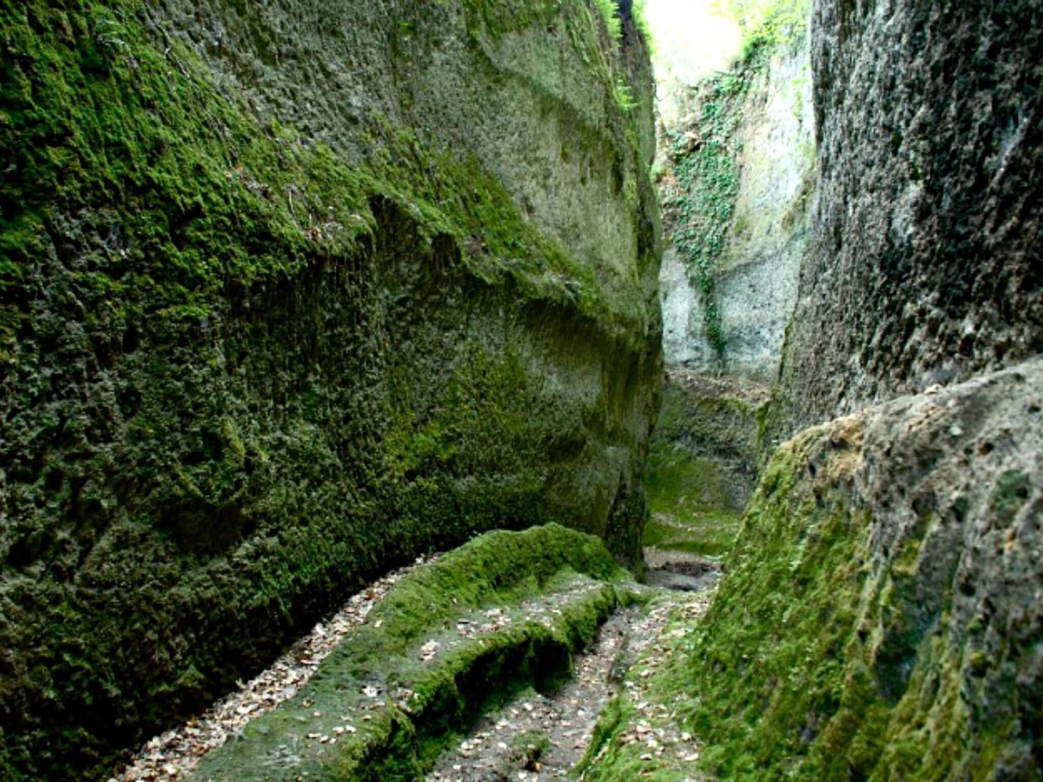 A narrow, moss-covered rock formation with a path leading through it.
