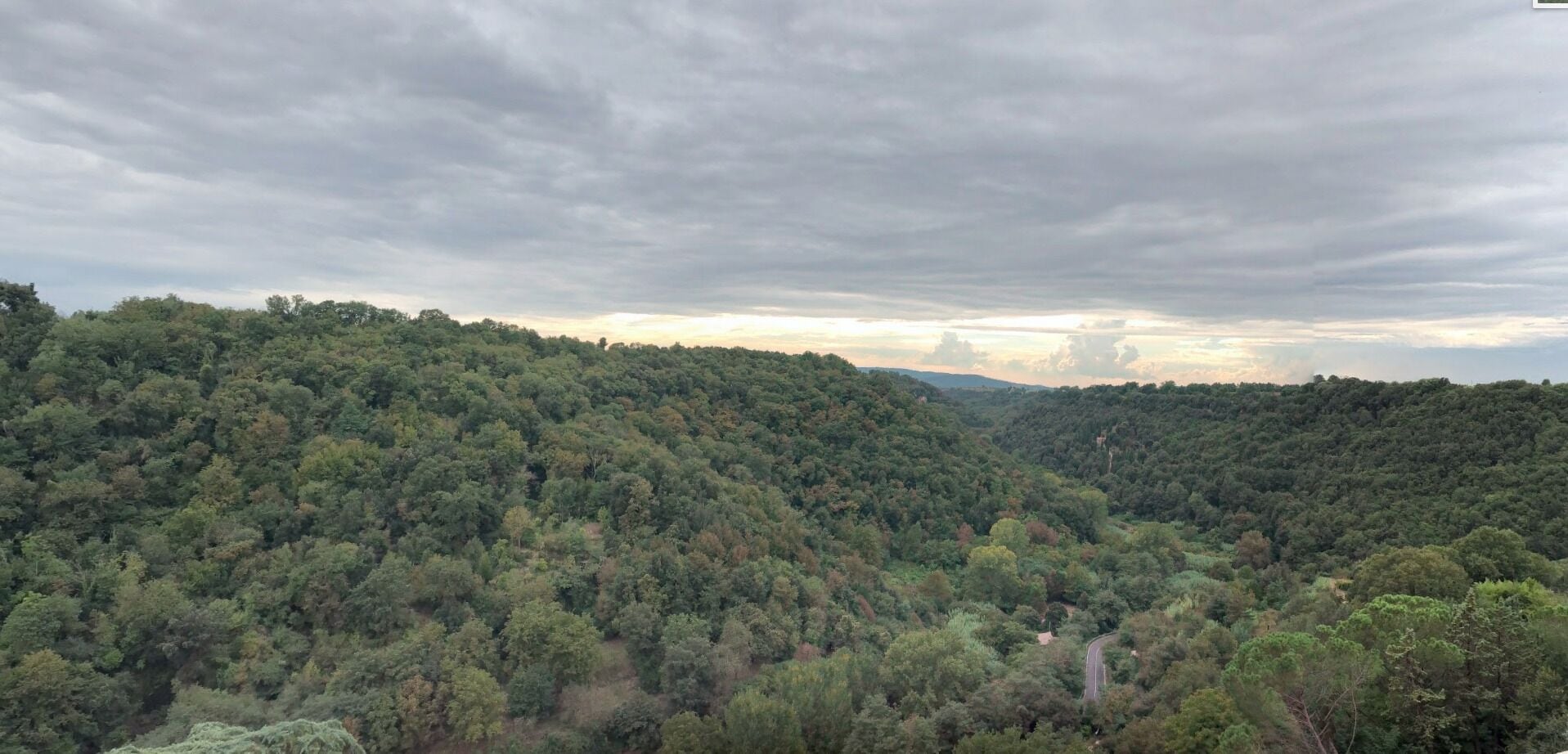 Un paisaje denso y boscoso con una carretera serpenteante.