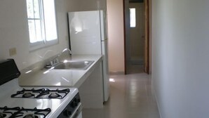 Una cocina con estufa a gas, un lavaplatos y un refrigerador.