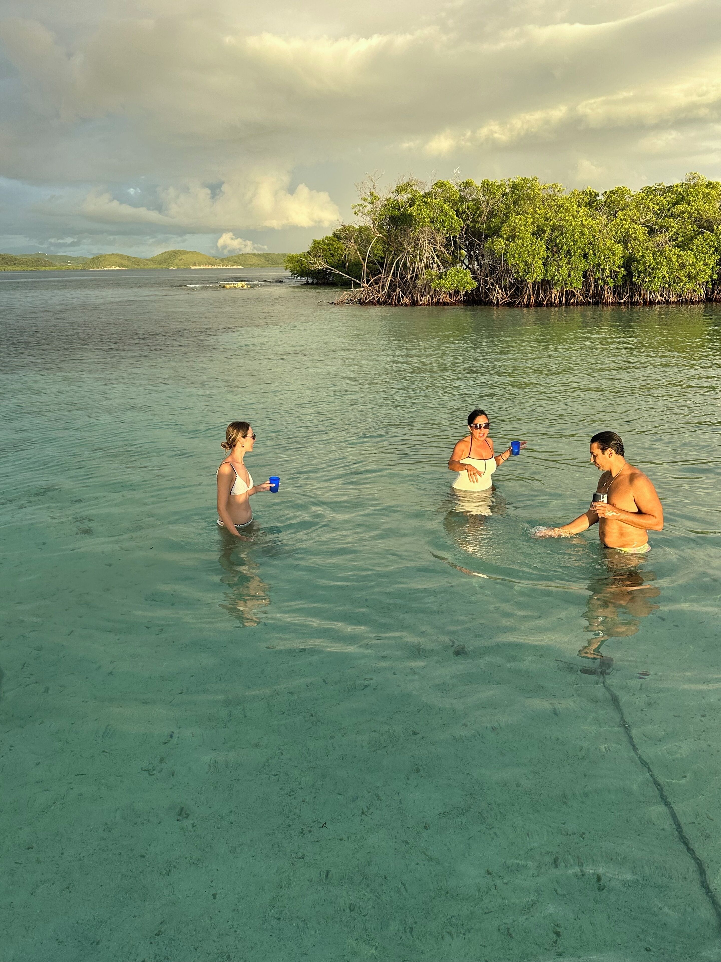 Three people in shallow water near a mangrove-lined shore.
