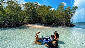 A clear turquoise sea with a sandy beach and mangrove trees in the background. - Parguera Plaza Hotel - Adults Only (Lajas)