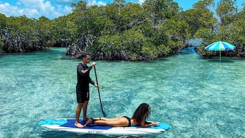 Iemand staat op een paddleboard in helder turquoise water, met een mangrovebos op de achtergrond.