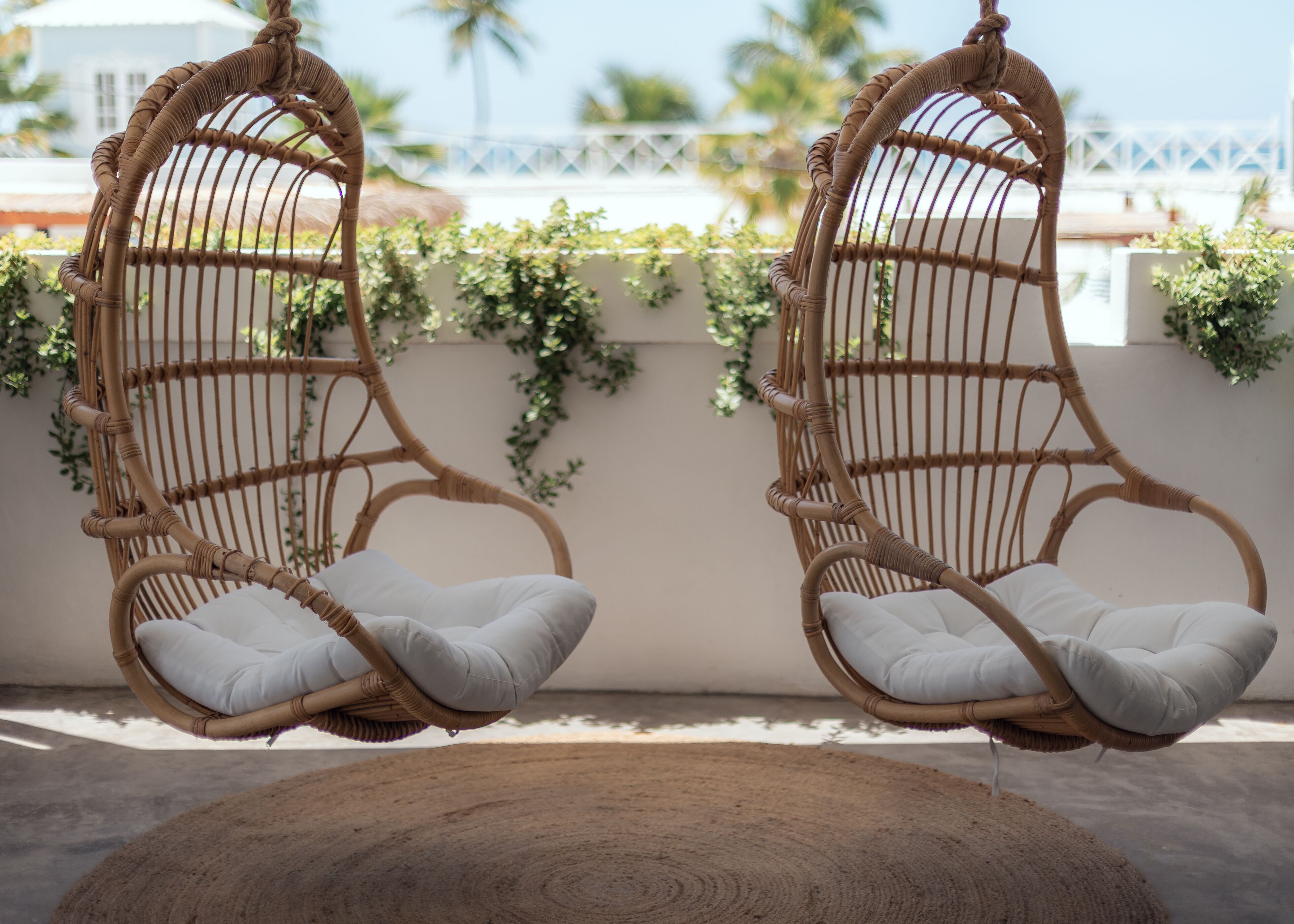Two wicker swing chairs with cushions, a woven rug, and a white wall with greenery.