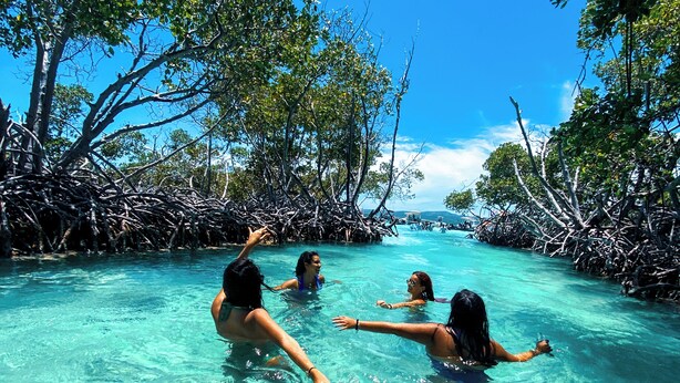 A clear, shallow water body surrounded by dense mangrove trees under a bright blue sky. - Parguera Plaza Hotel - Adults Only (Lajas)