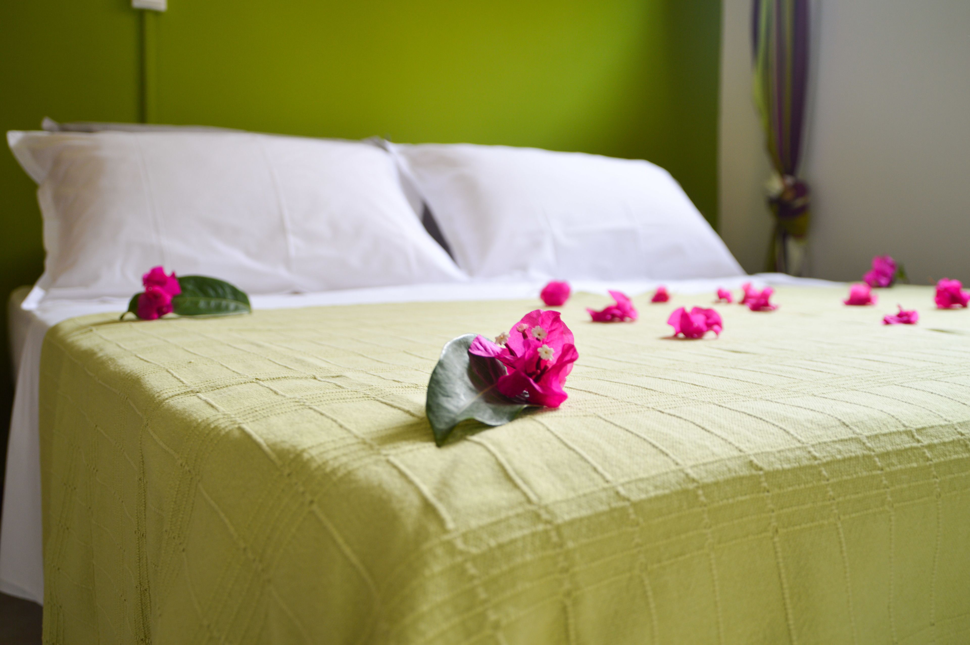 superior room | individually furnished, free wifi, bed sheets