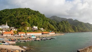 Un pueblo costero con un puerto, edificios y una colina boscosa.