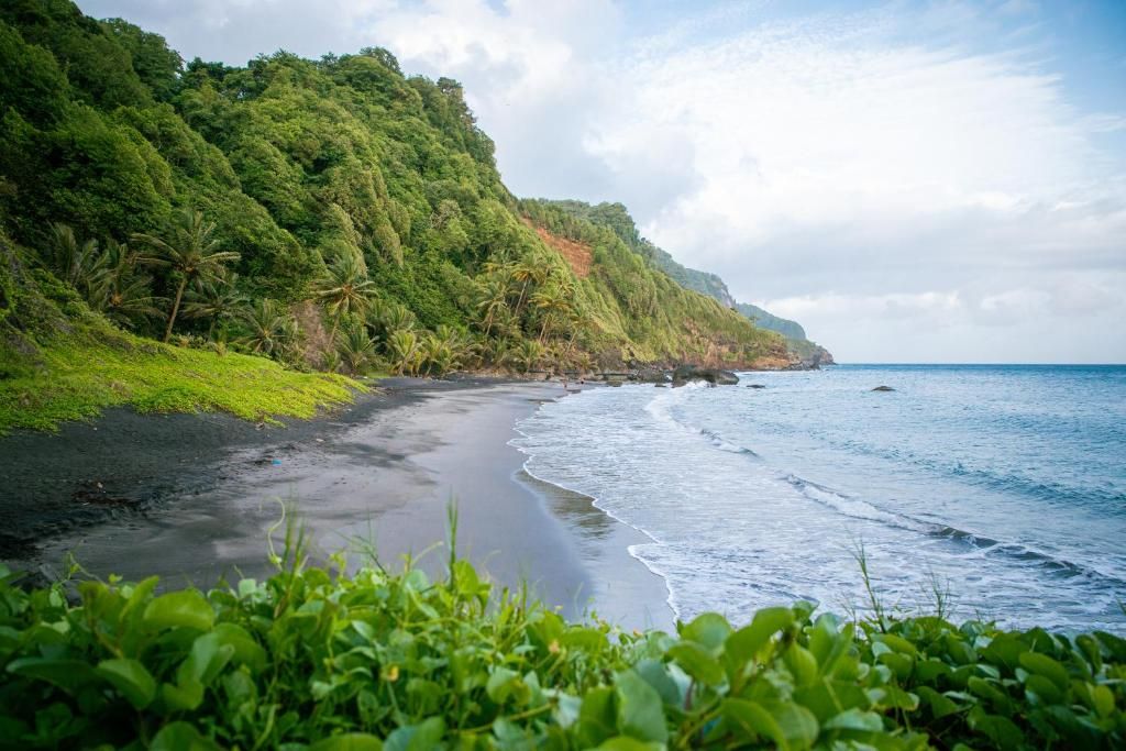Una playa con arena negra, vegetación verde exuberante y cielo despejado.