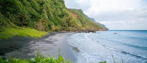 A beach with a black sand shore, lush green vegetation, and a clear sky.