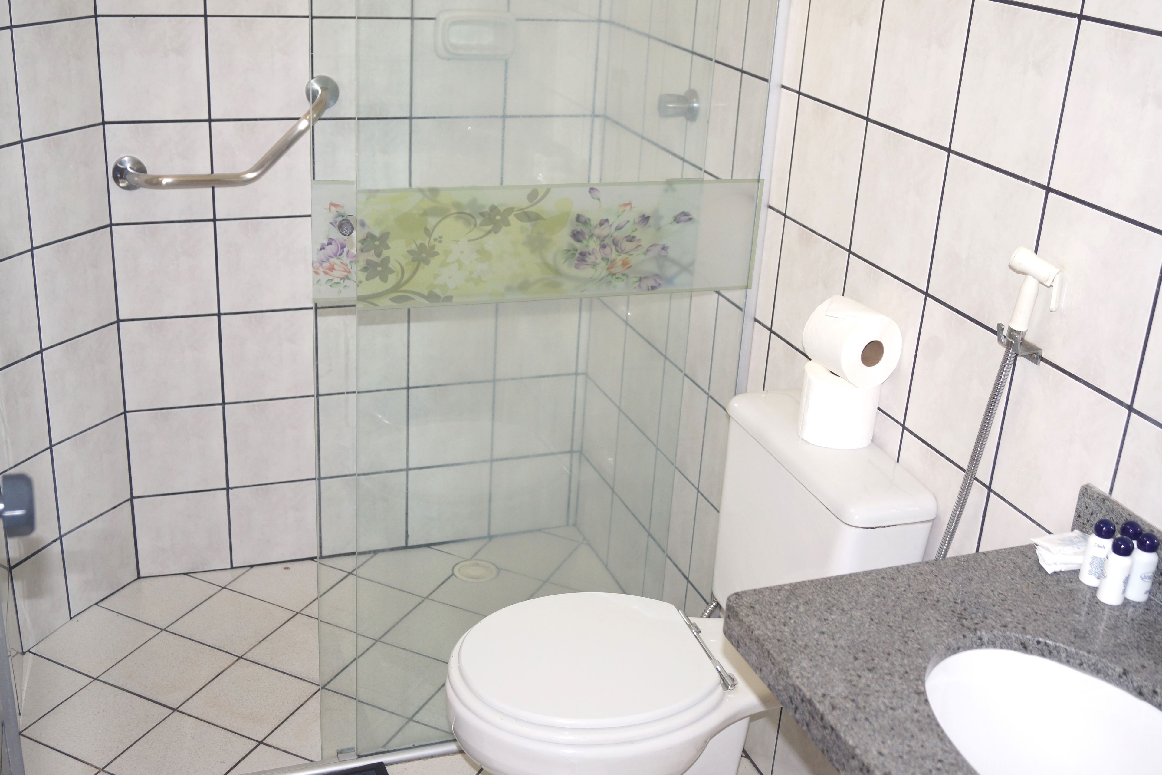 standard apartment | bathroom | shower, free toiletries, bidet, towels