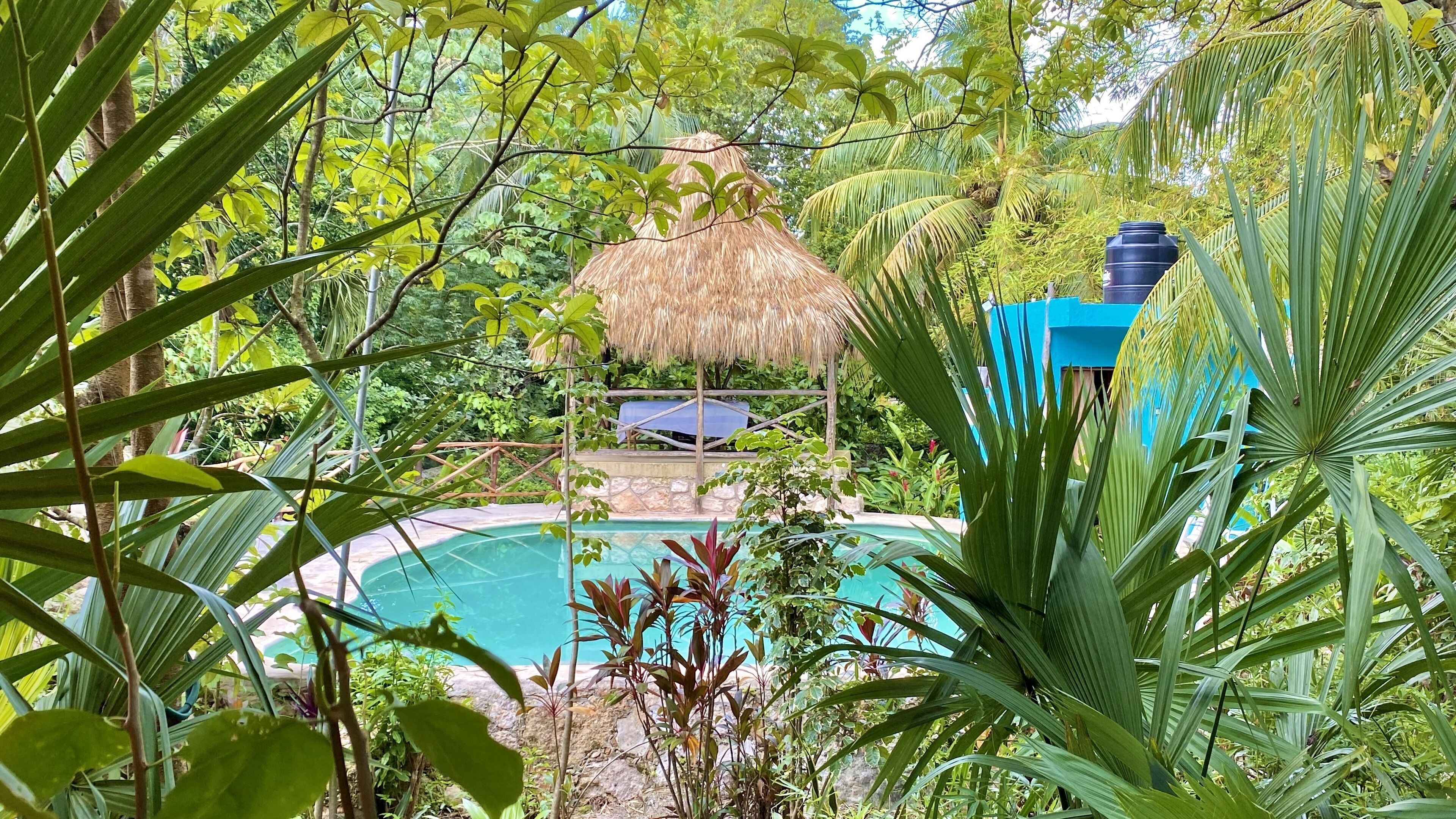 Una piscina rodeada de abundante vegetación, una construcción con techo de paja y un depósito de agua azul.