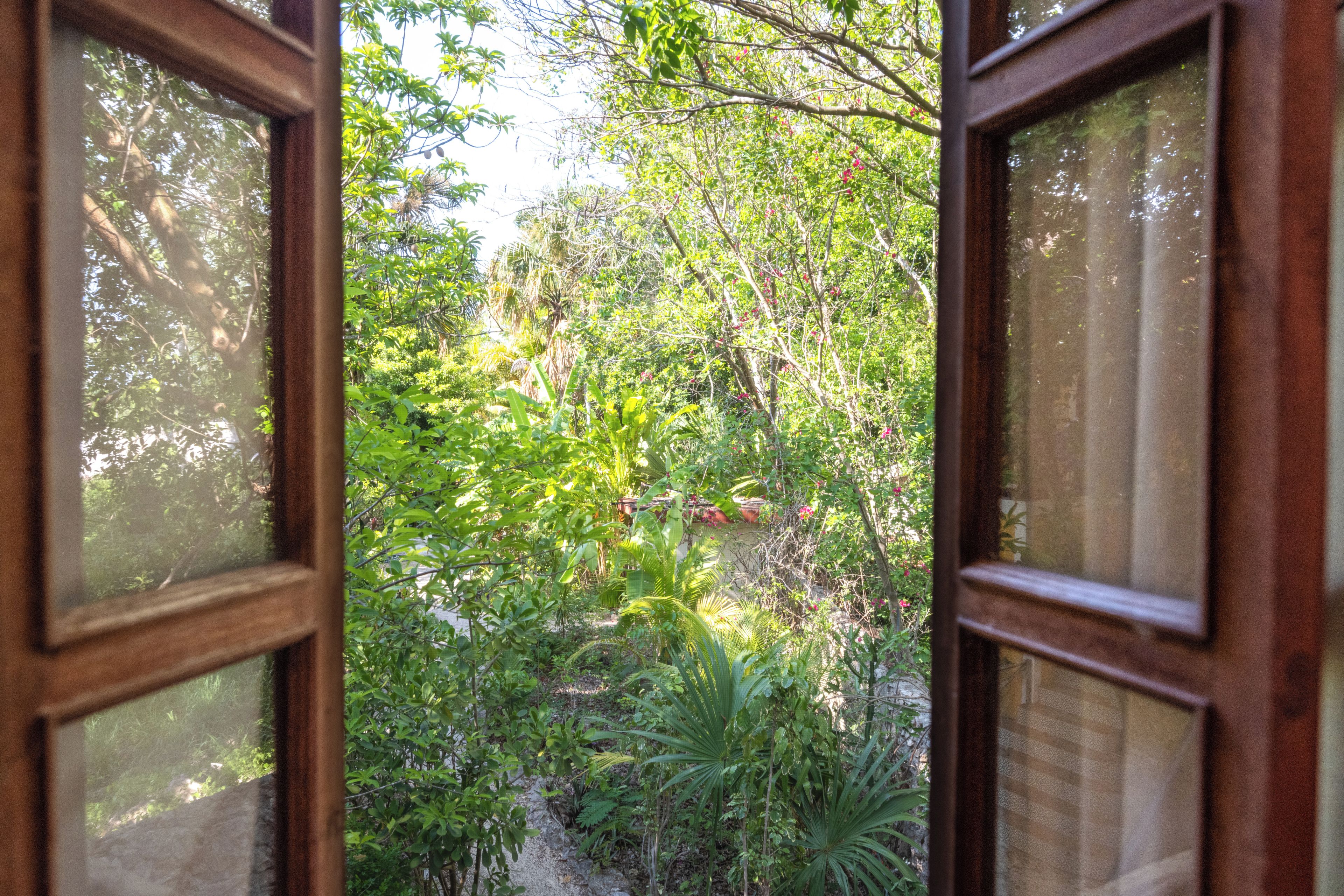 Una ventana abierta con vistas a una vegetación frondosa y un sendero.