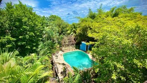 A swimming pool surrounded by lush greenery and a small structure.