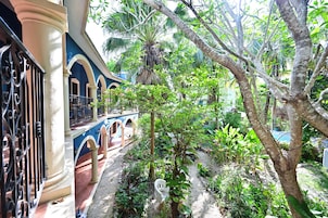 Un patio con un paseo cubierto, rodeado de abundante vegetación y diversas plantas.