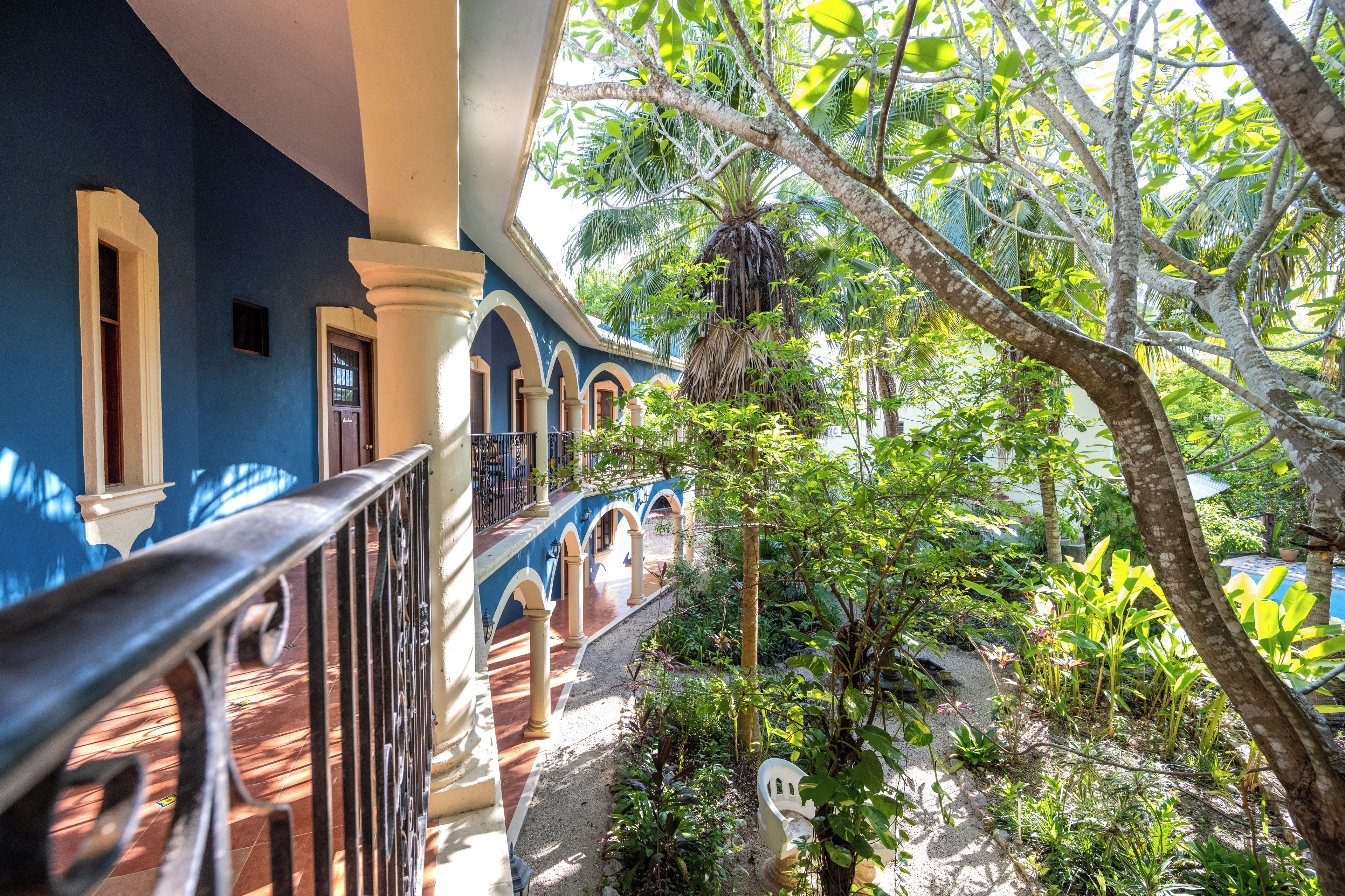 Un espacio exterior cubierto con un edificio azul, una valla de madera y diversas plantas.