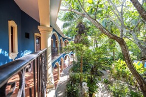 A covered outdoor area with a blue building, a wooden fence, and a variety of plants. - Macan Ché (Izamal)