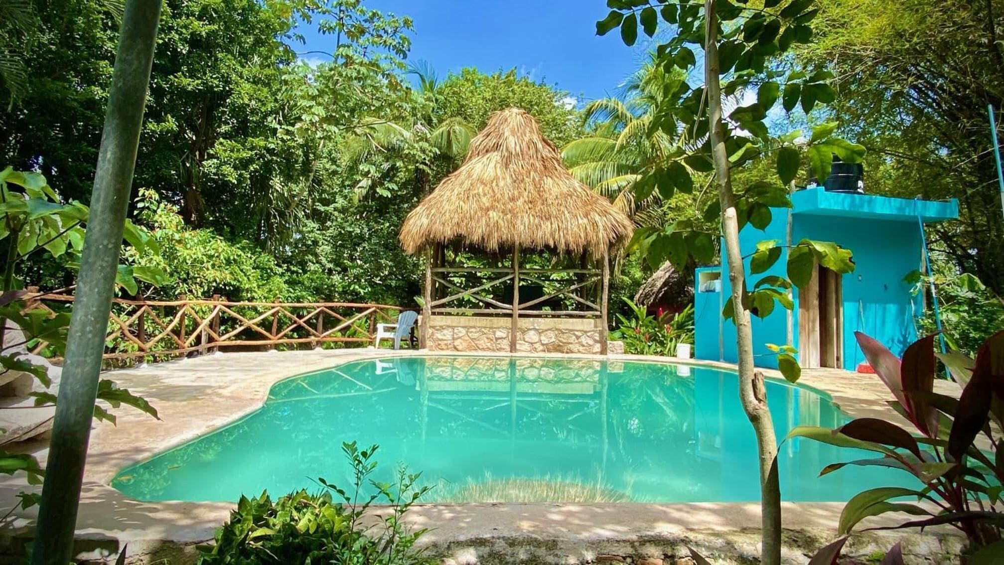 Una piscina rodeada de exuberante vegetación y una estructura con techo de paja.