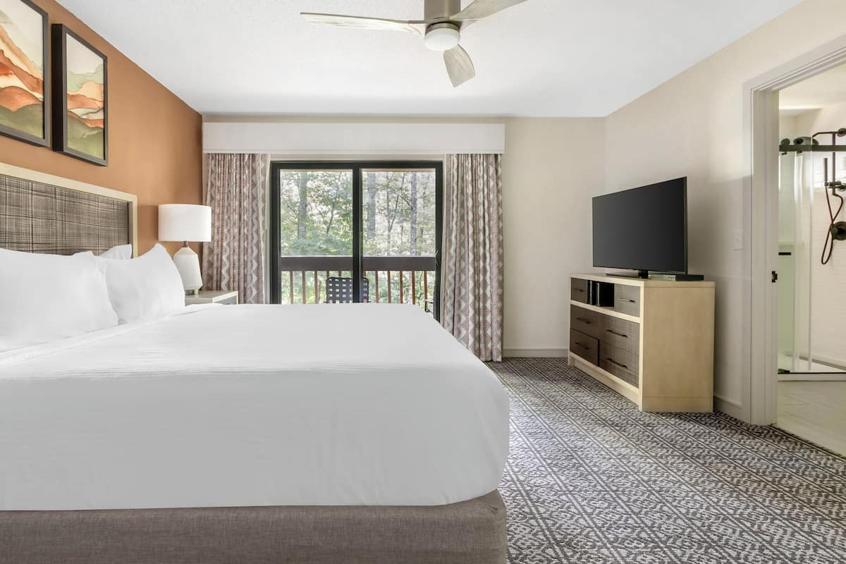 A hotel room with a large bed, a television, a ceiling fan, and a view of trees through the window.