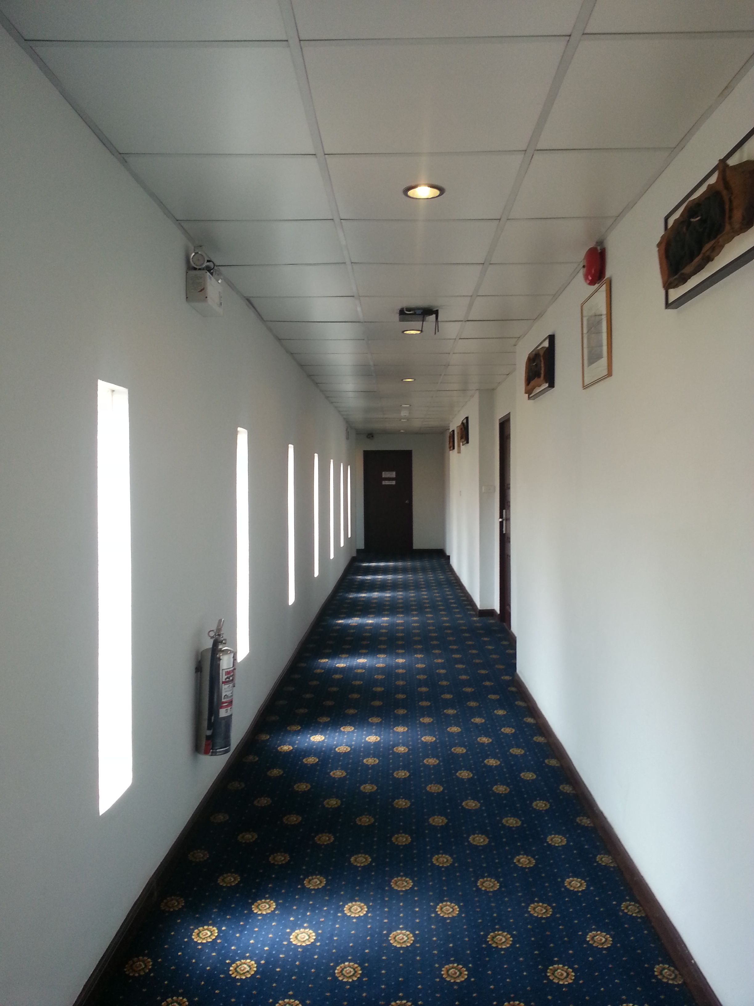 A long, narrow hallway with patterned carpet, white walls, and a series of windows on one side.