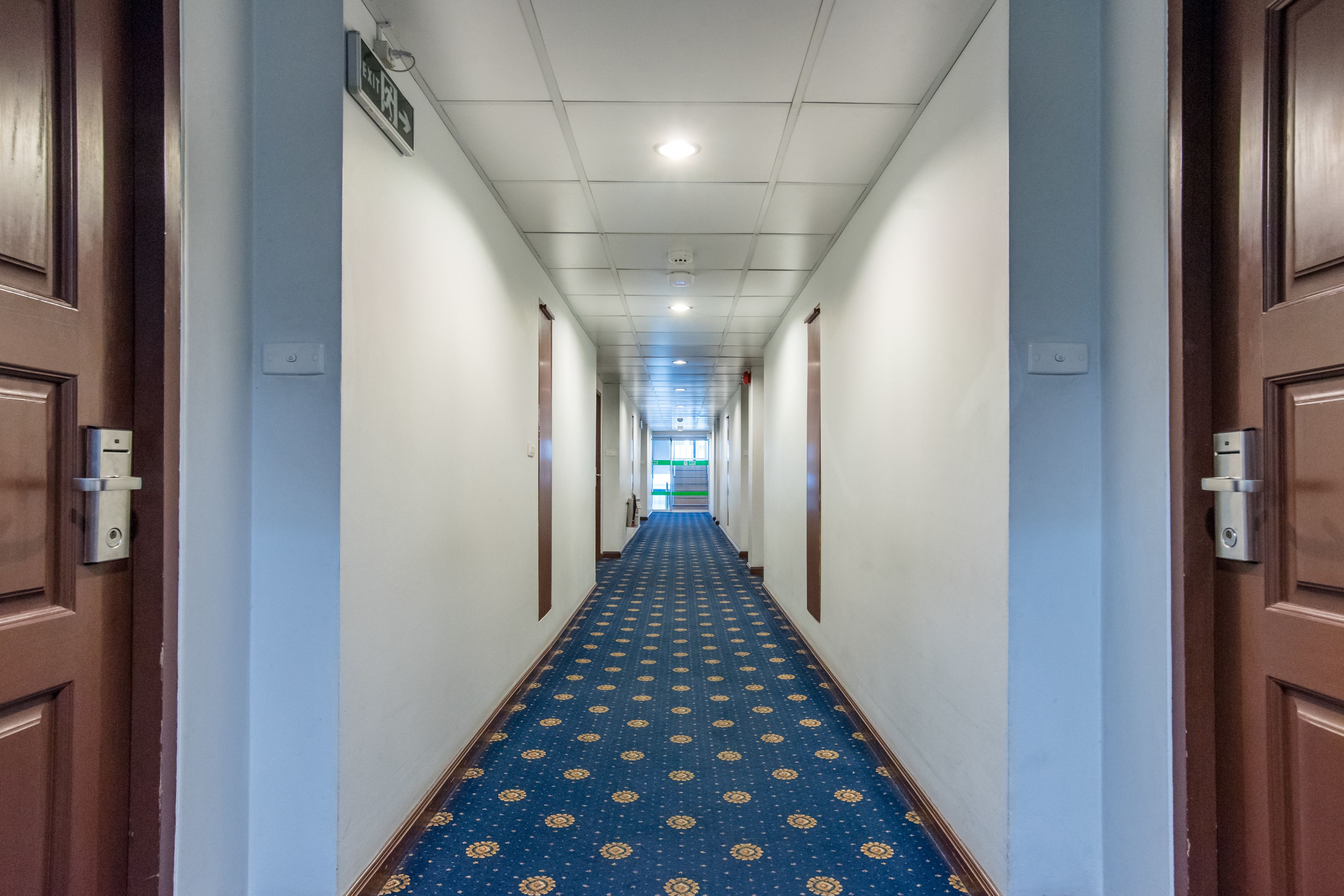 Un largo pasillo con alfombra estampada, puertas de madera y paredes blancas.