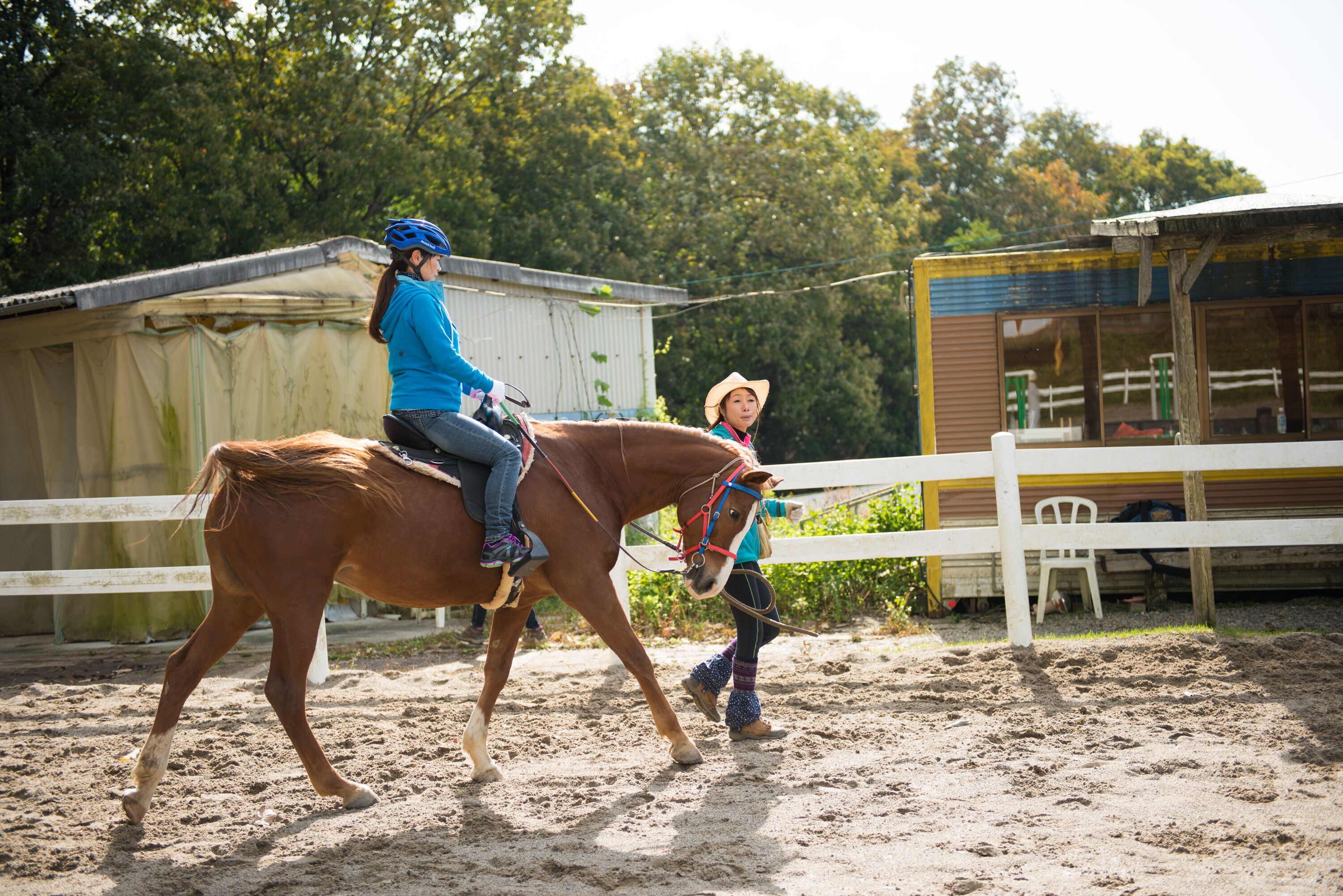 A horse and rider in an outdoor arena with a white fence and a building in the background.