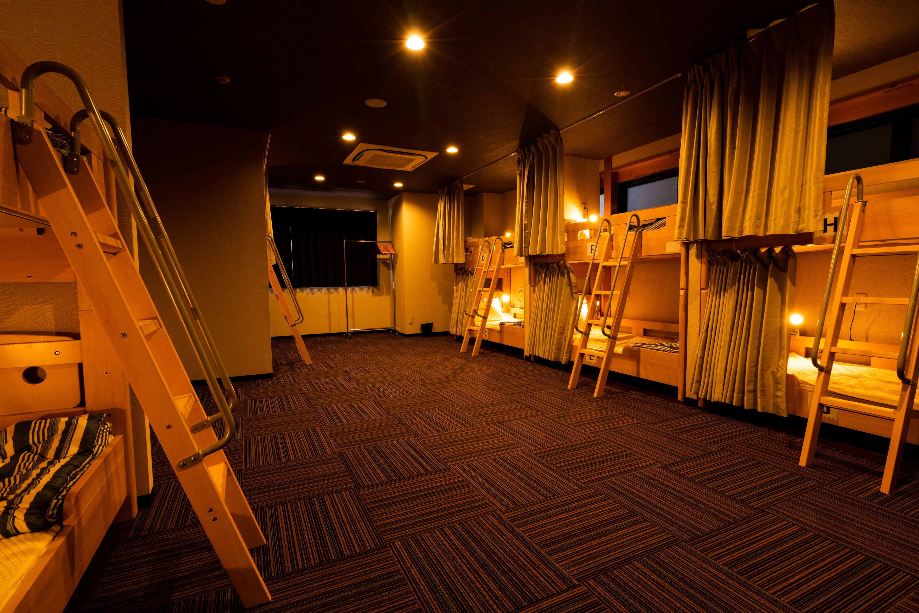 A room with bunk beds, a ladder, and a carpeted floor.