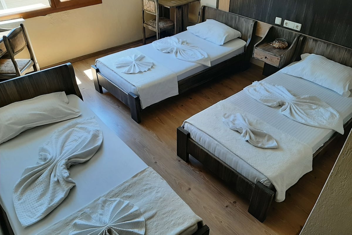Comfort Triple Room, 3 Single Beds, Private Bathroom