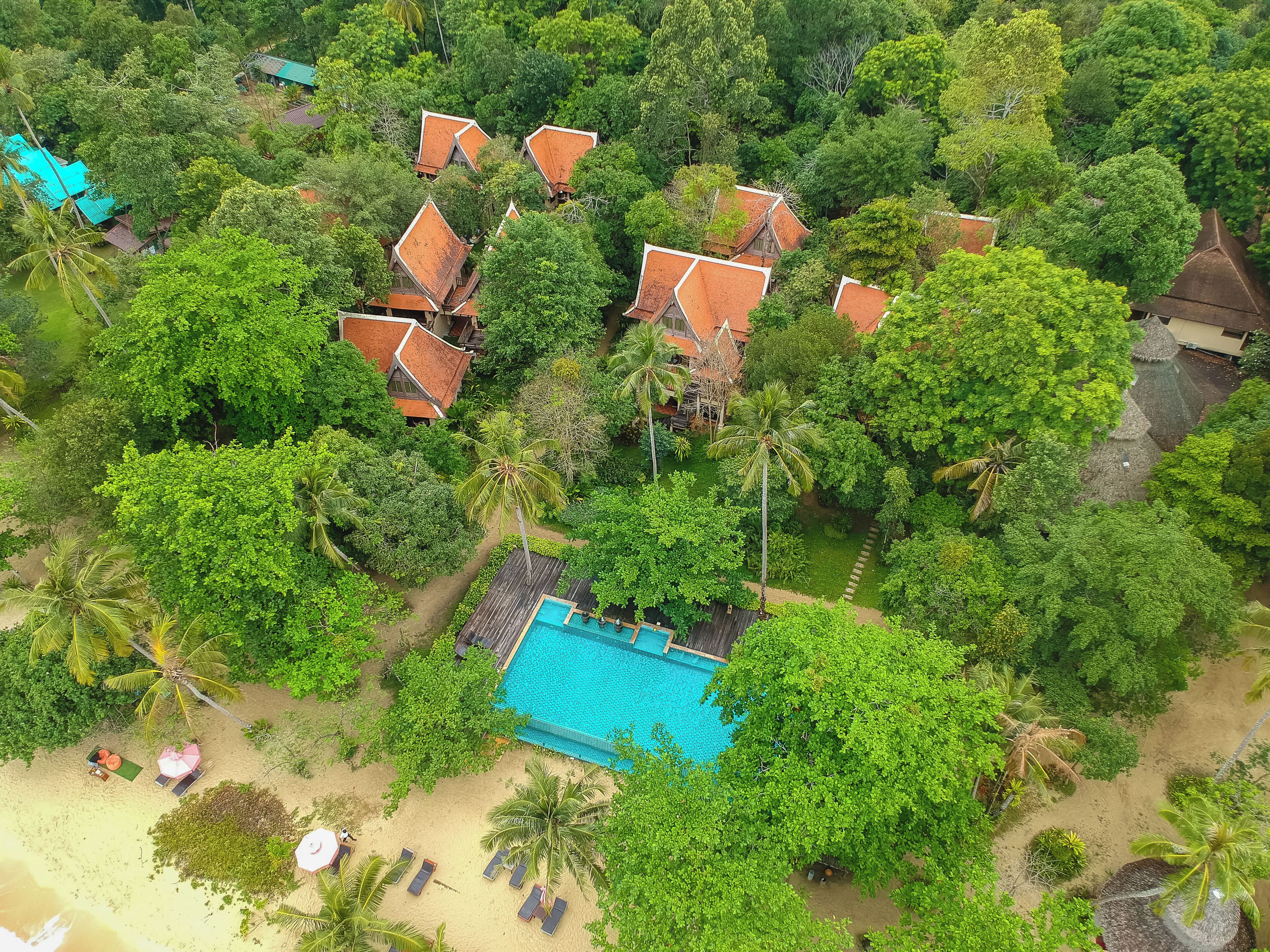 outdoor pool, pool loungers