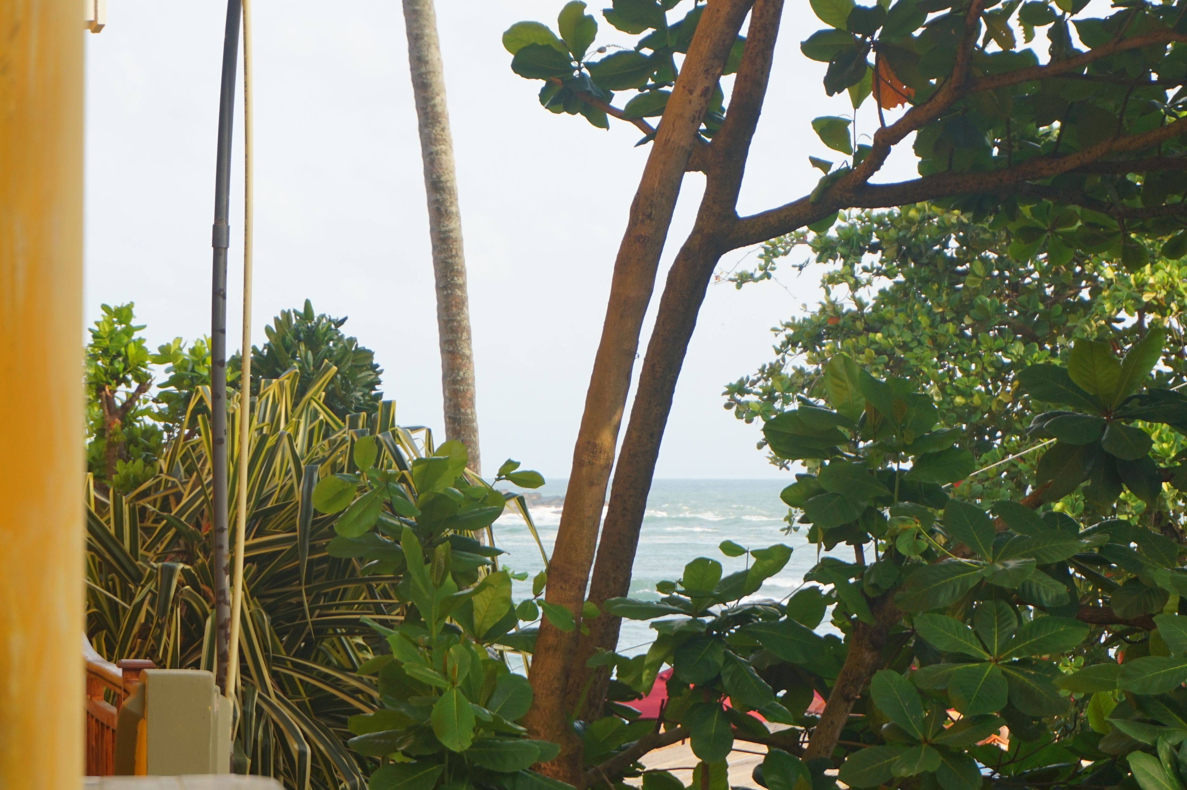 A view of the ocean through dense foliage, with a clear sky and a wooden structure partially visible on the left.