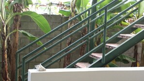 Veranda