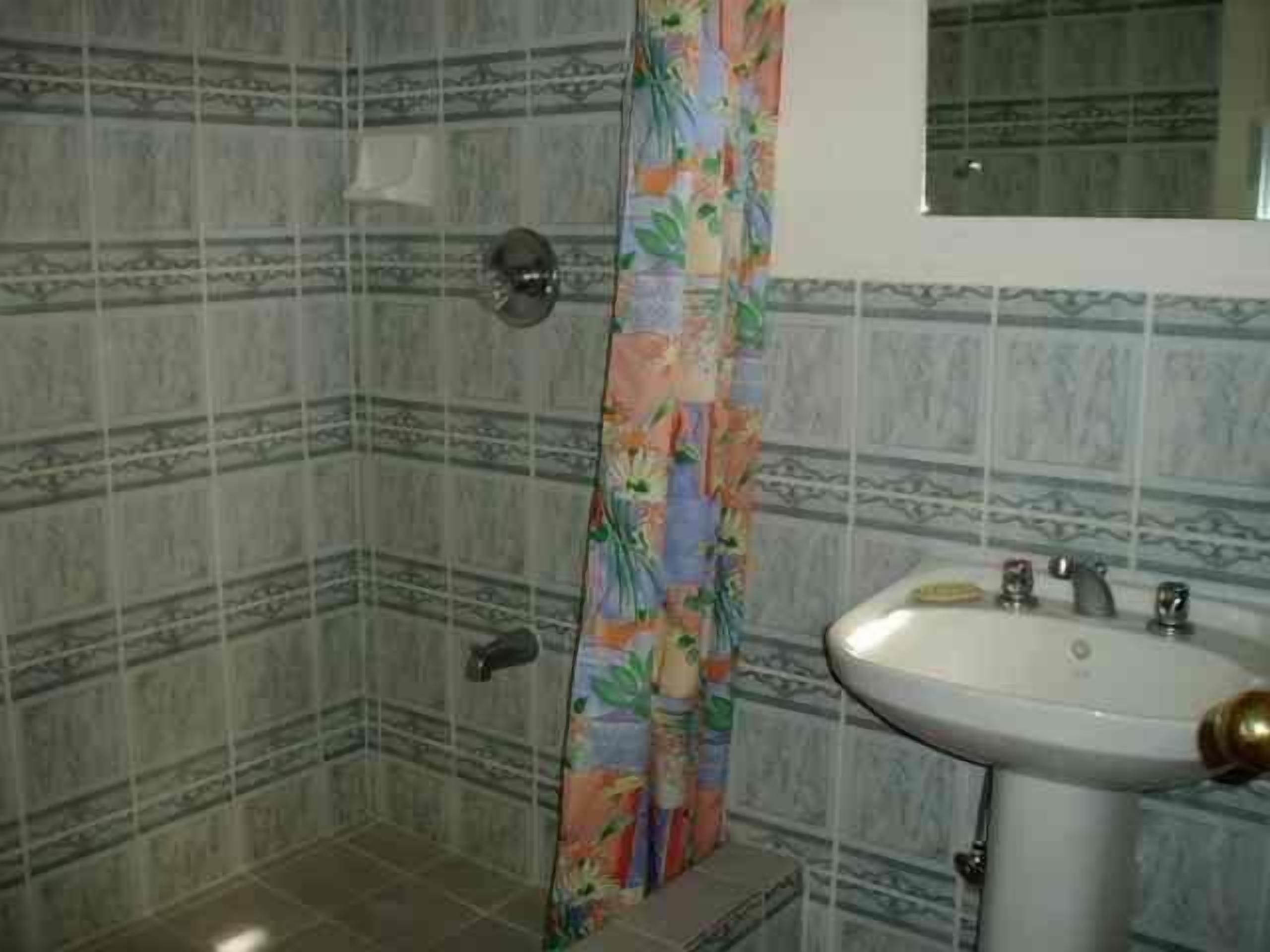 A bathroom with patterned tiles, a shower curtain, and a sink.