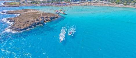 ビーチ / オーシャン ビュー