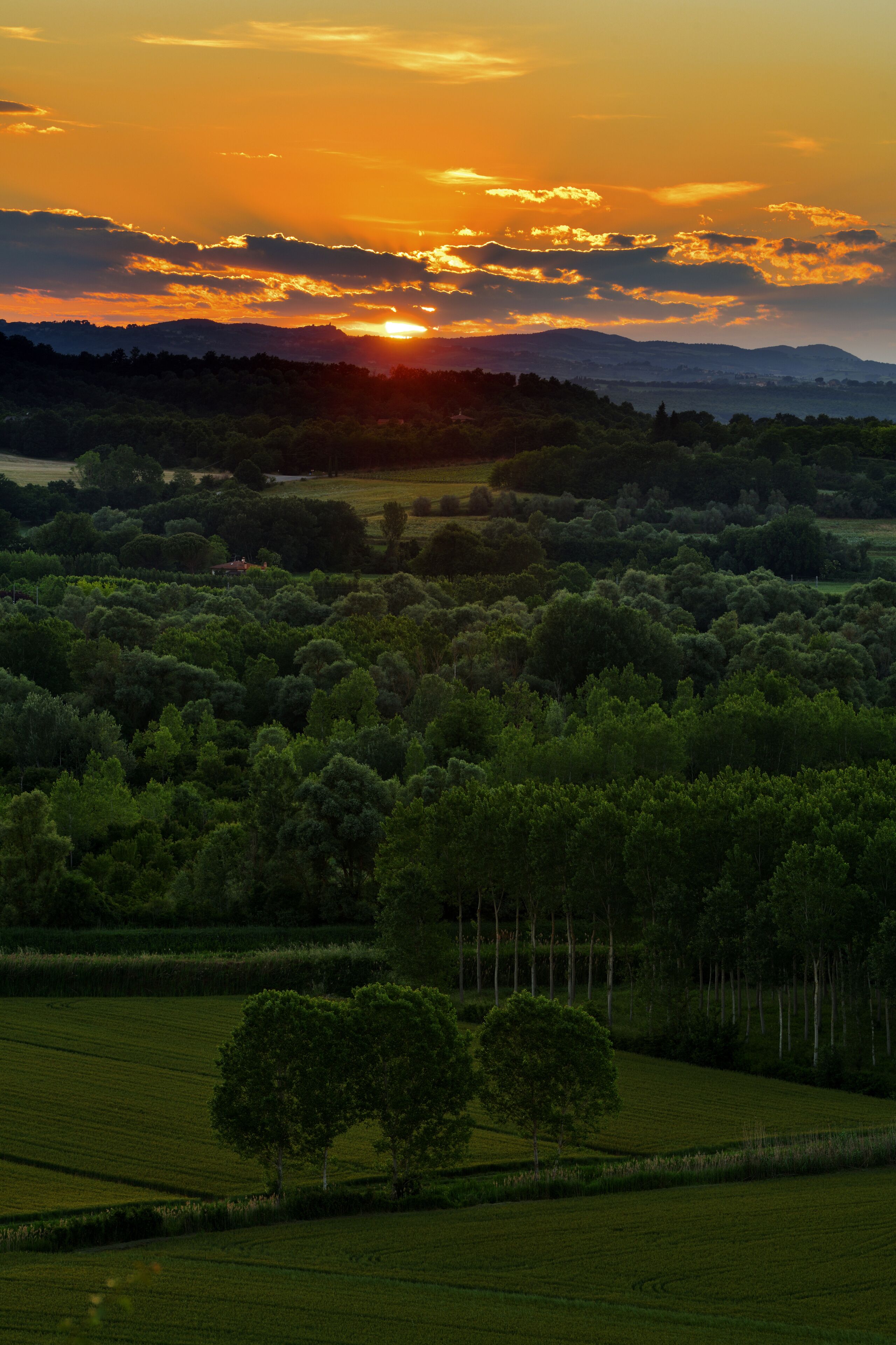 Une vue panoramique d’un paysage au coucher du soleil, avec des collines ondoyantes, des forêts denses et un village situé au loin.