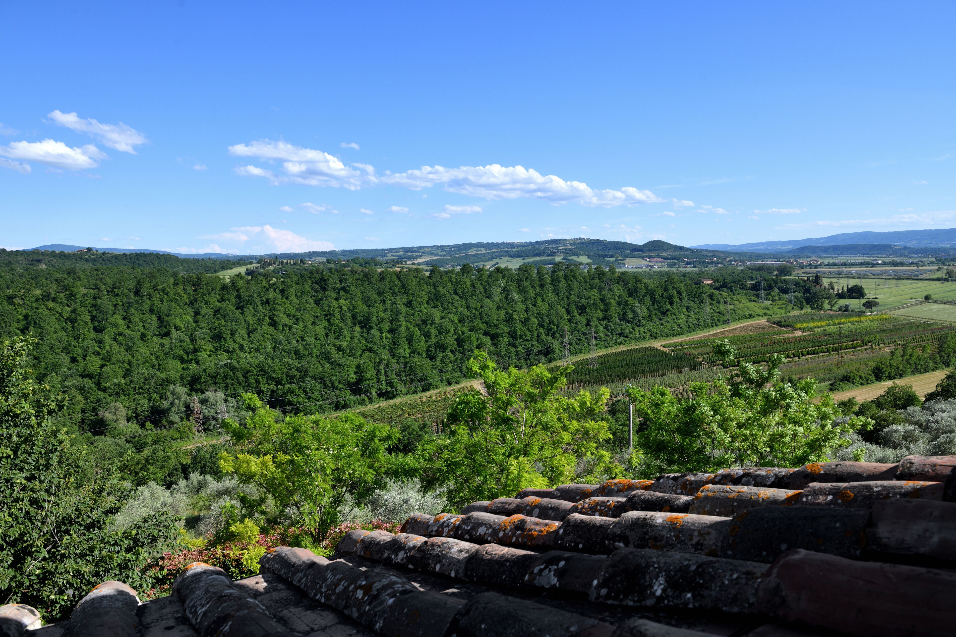 Un paysage de vignoble avec des champs en terrasses et un ciel dégagé.
