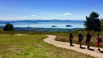 Un gruppo di escursionisti su un sentiero sterrato con vista panoramica su un lago e montagne lontane.