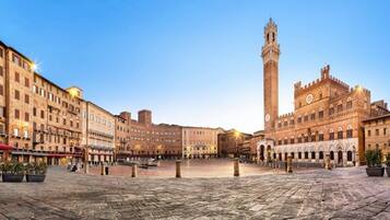 A historic square with a prominent tower, stone buildings, and potted plants.