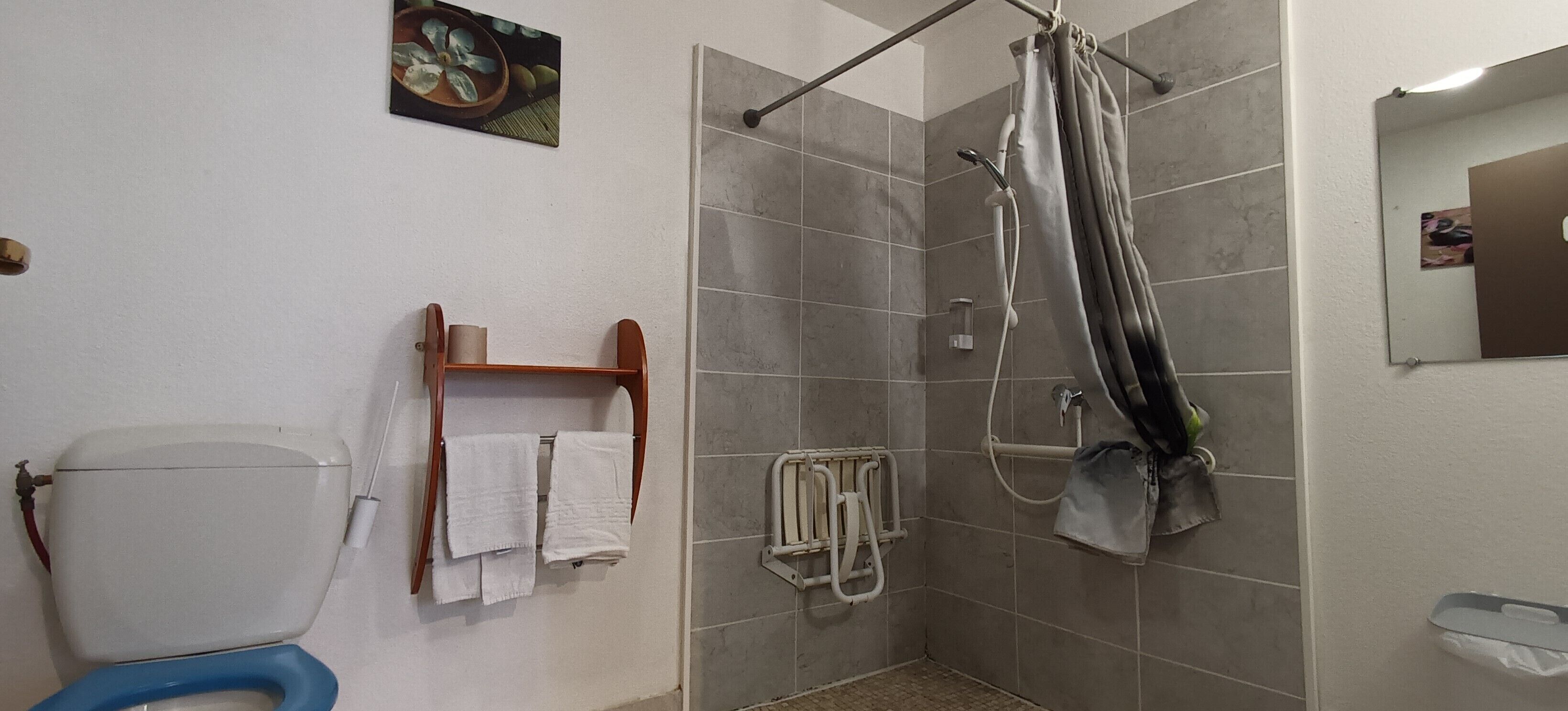 Une salle de bain équipée de toilettes, d’une douche et d’un porte-serviettes.