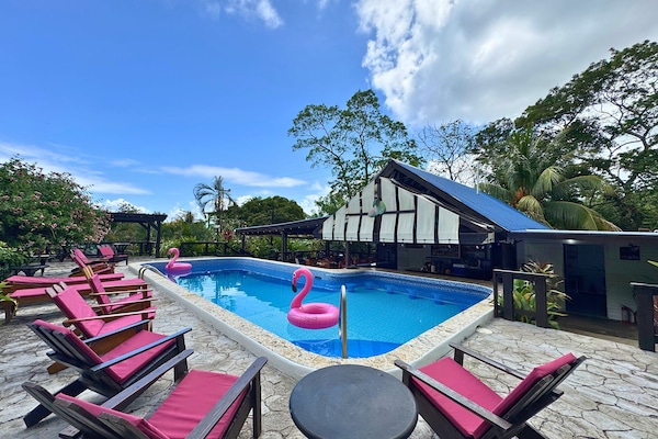 Outdoor pool, pool loungers