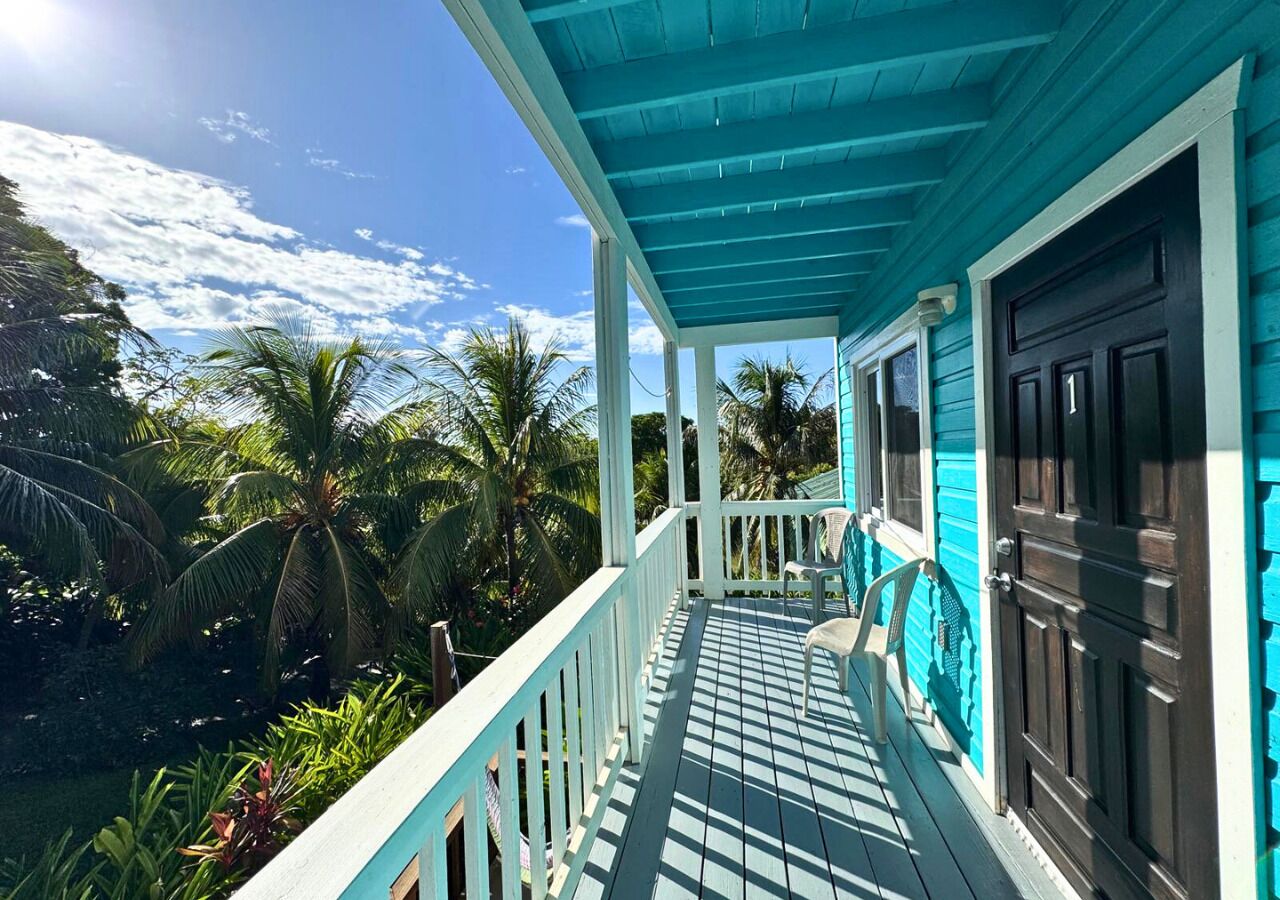 Blick auf den Garten