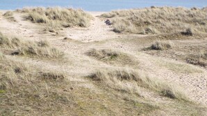 A coastal landscape with wind turbines in the distance and grassy dunes in the foreground. - Maluth Lodge (Great Yarmouth)
