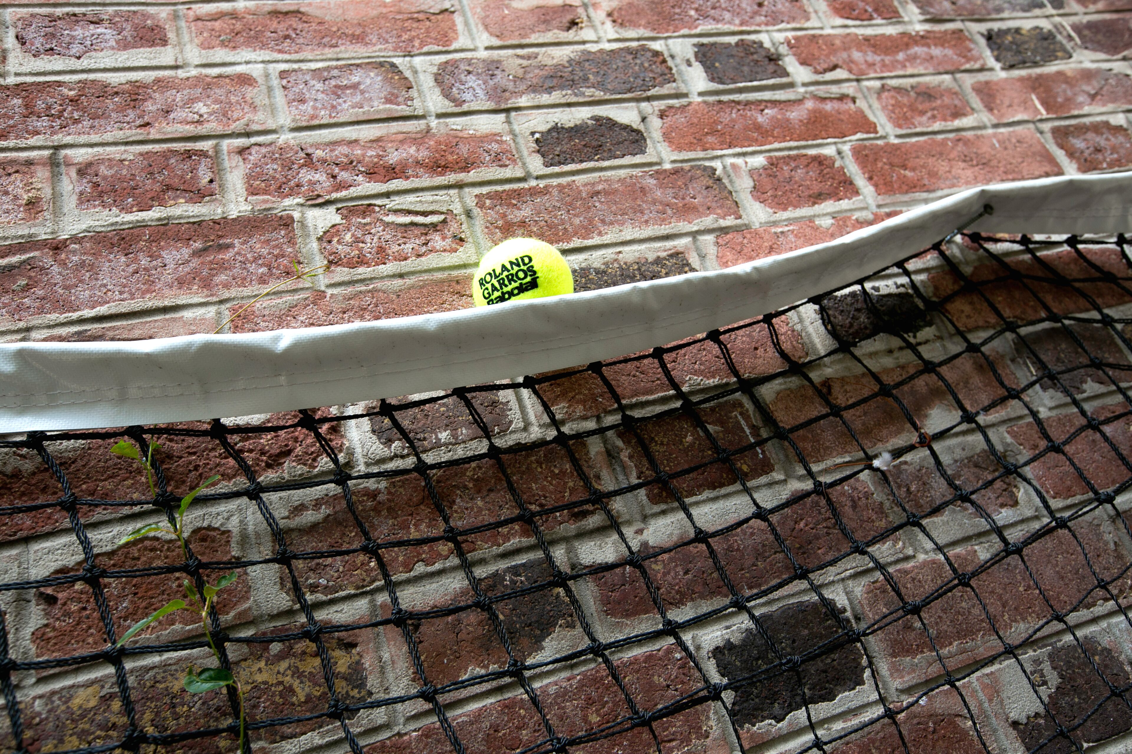 Photo - Hotel Olympic Paris Boulogne by Patrick Hayat