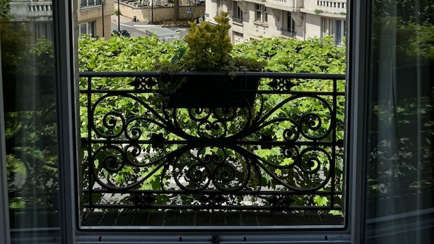 A view from a window of a building with multiple floors, featuring balconies and a large tree in the foreground. - Hotel Olympic Paris Boulogne by Patrick Hayat (Boulogne-Billancourt)