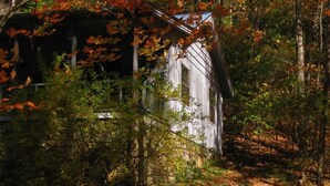 Exterior - My Little Blue House (Hiawassee)
