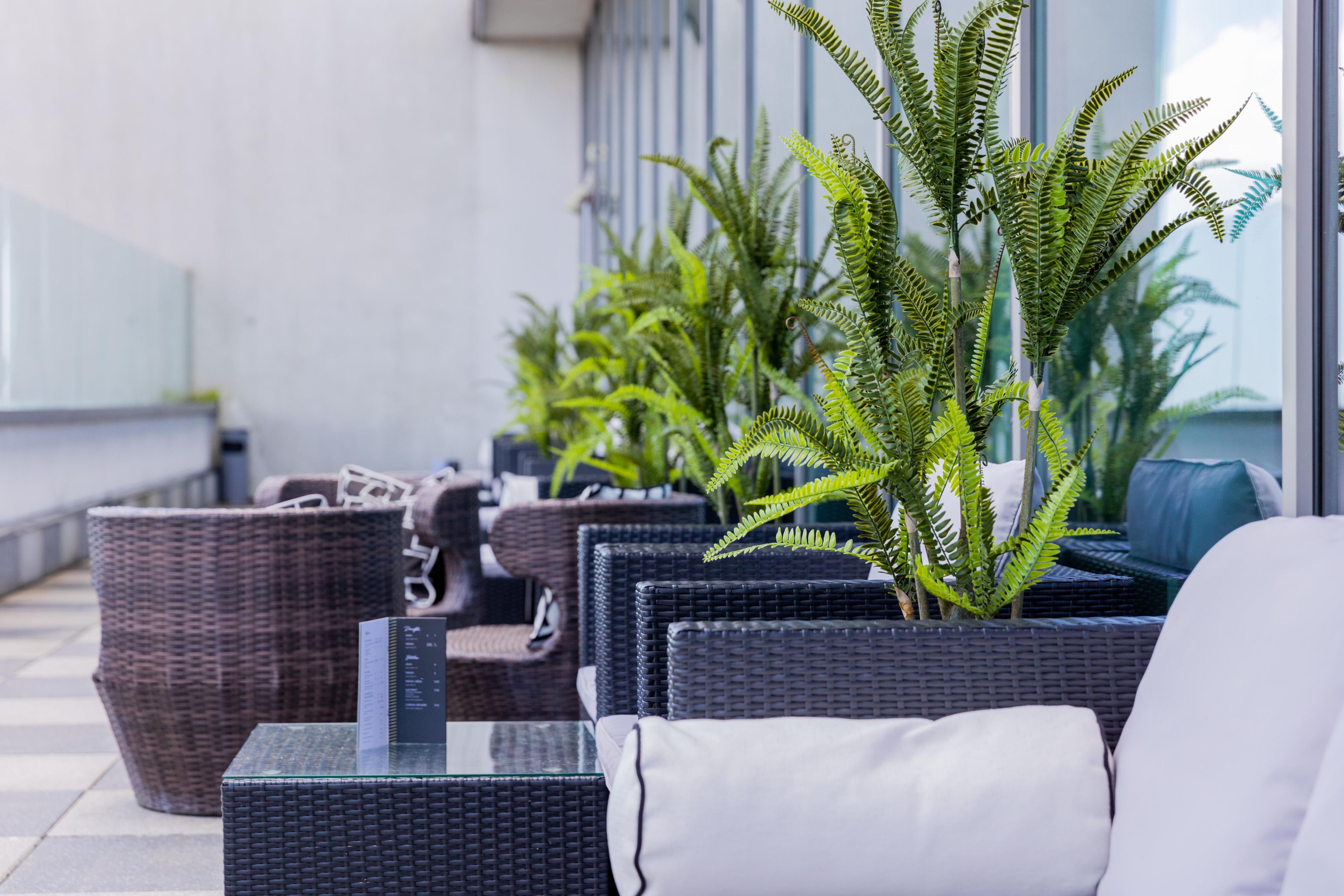 Un espacio al aire libre moderno con mobiliario de mimbre y plantas en macetas.