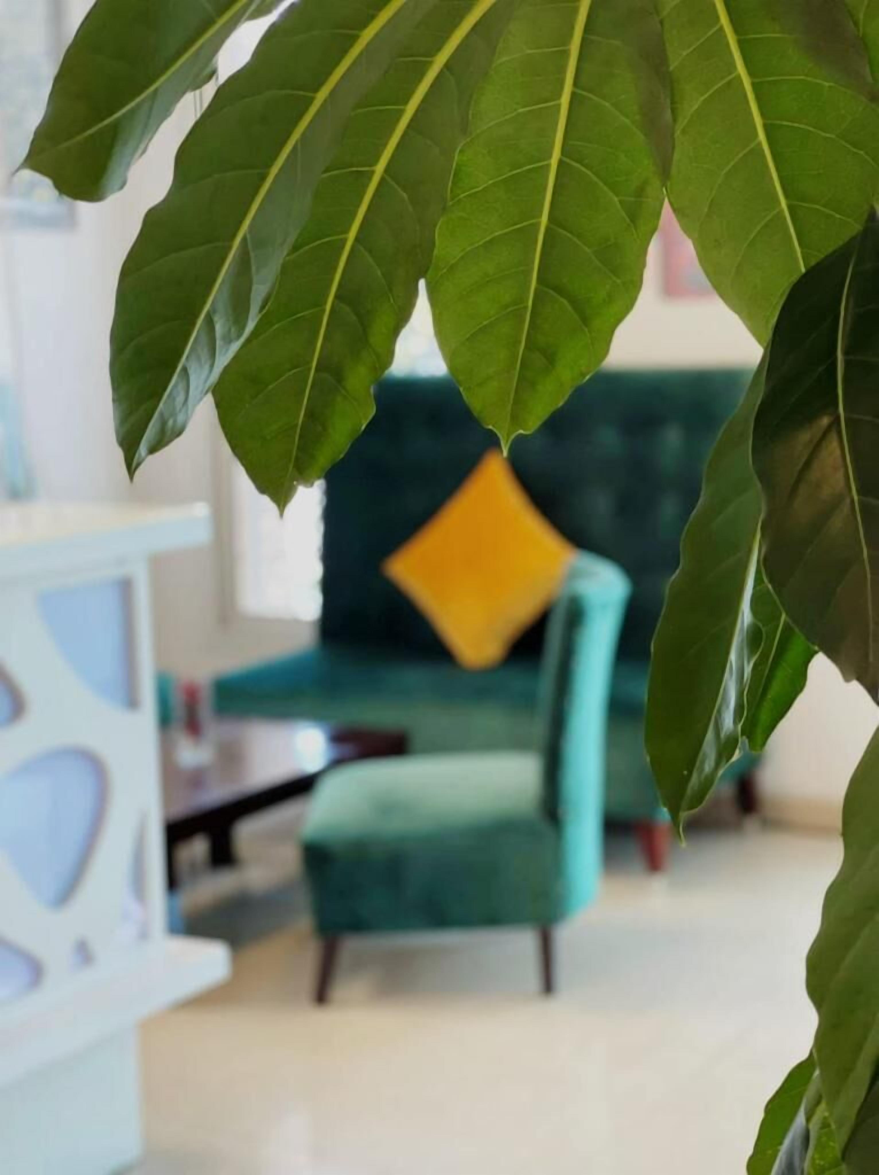 A room with a green sofa and a yellow pillow, a white table, and a plant with large green leaves.