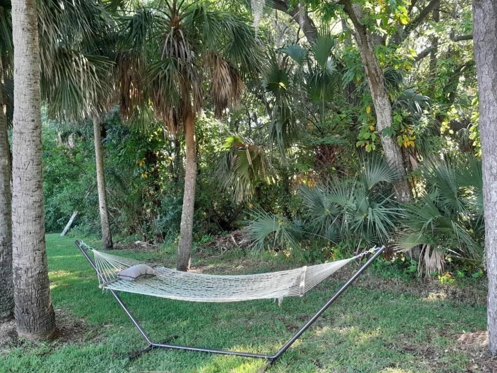A hammock in a lush garden with trees and greenery.