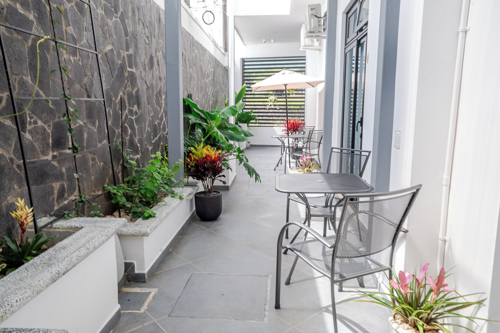 Habitación económica | Terraza o patio