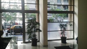 Un interior moderno con ventanas amplias, plantas en macetas y vista a la calle.