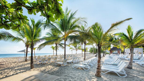A beach with rows of white lounge chairs and palm trees, a wooden deck, and a view of the ocean.